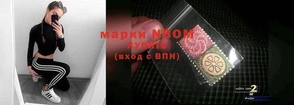 шишки Аркадак